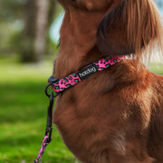 Hot Dog Collar Pink Ocelet - Lulu & Daw - Annabel Trends - annabel trends, christmas, home - Lulu & Daw - Australian Fashion Boutique