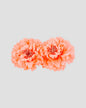 MARIA - Clips - Lulu & Daw - FORD Millinery - accessories, new arrivals, new arrvials - Lulu & Daw - Australian Fashion Boutique