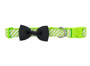 Hot Dog Collar Stripe Green - Lulu & Daw - Annabel Trends - annabel trends, christmas, home - Lulu & Daw - Australian Fashion Boutique