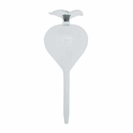 Bulb Plant Water Bubble - Lulu & Daw - Annabel Trends - annabel trends, christmas, home - Lulu & Daw - Australian Fashion Boutique