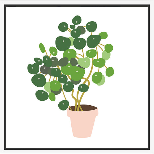 Thin Floating Frame - Pastel Potted Pilea - 30x30cm - Lulu & Daw - Rayell - home, rayell - Lulu & Daw - Australian Fashion Boutique