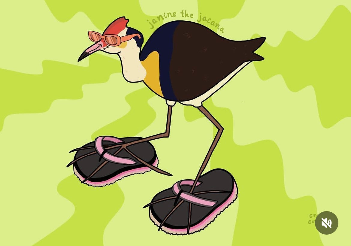 Janine the Jacana - Lulu & Daw - Crafty Conway -  - Lulu & Daw - Australian Fashion Boutique