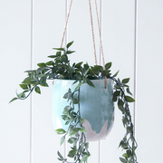 Dripping Jade Hanging Planter - HG193 - Lulu & Daw -  - home, rayell - Lulu & Daw - Australian Fashion Boutique